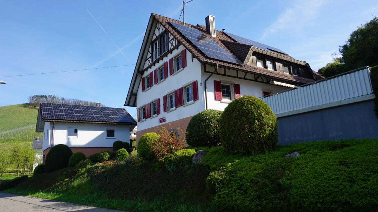 Anna Apartment Durbach